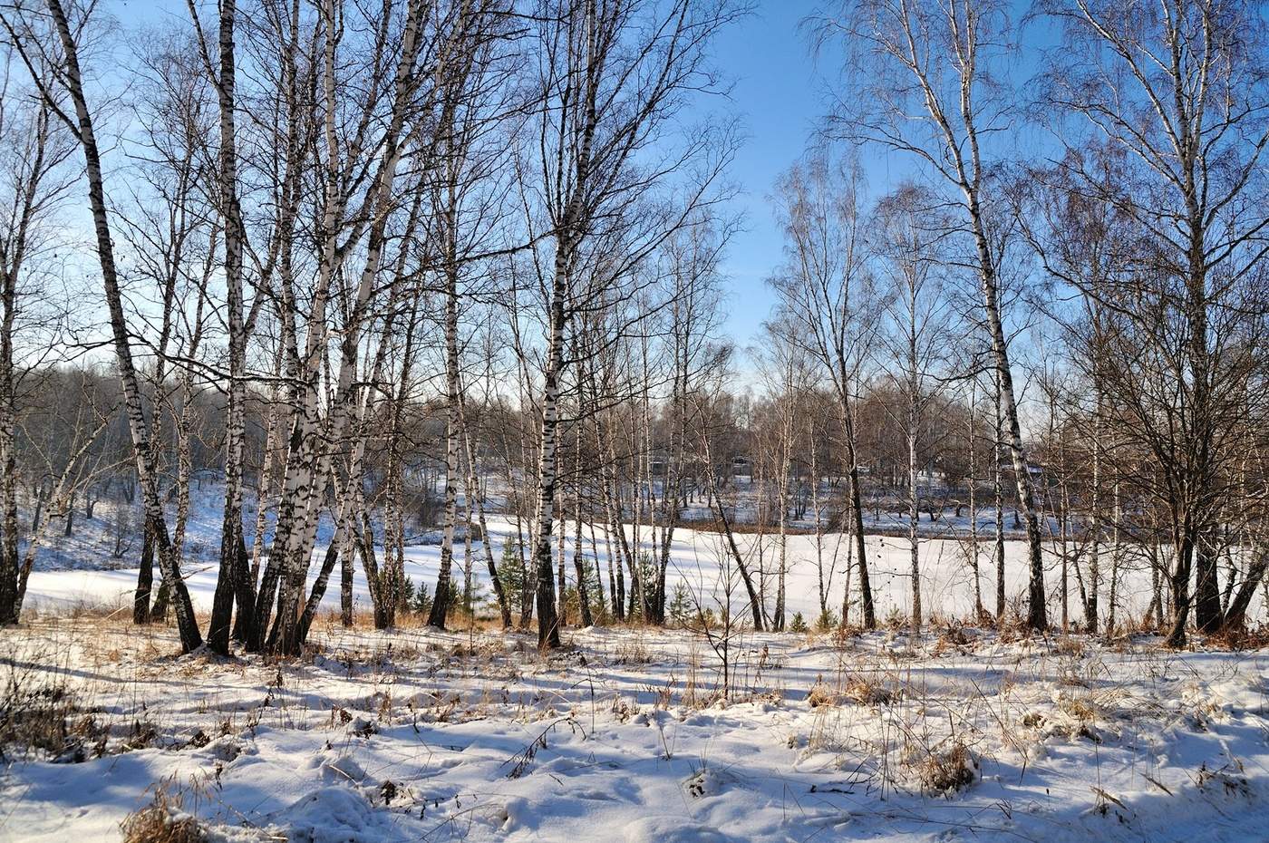 Зимняя зарисовка.