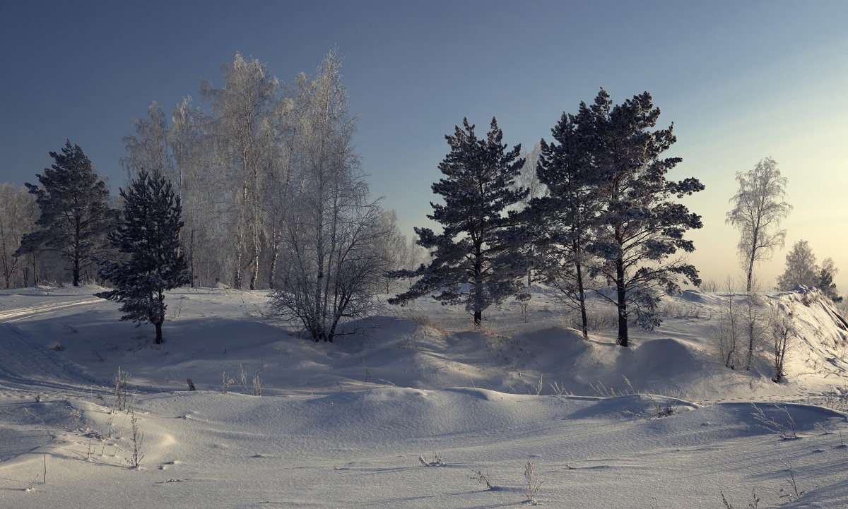 Зимний день.