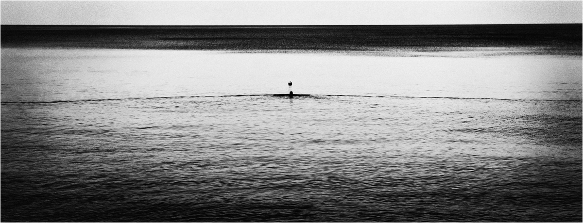 Утренний заплыв