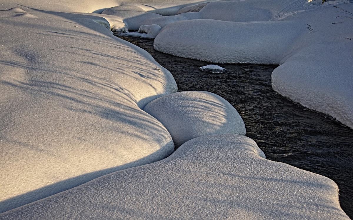 Родник живой