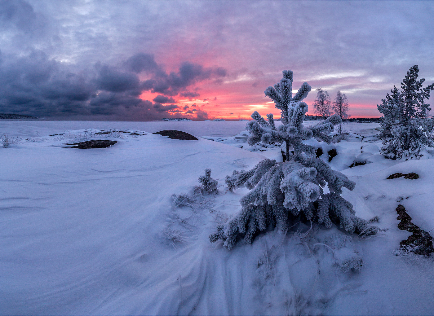 На фоне зари.