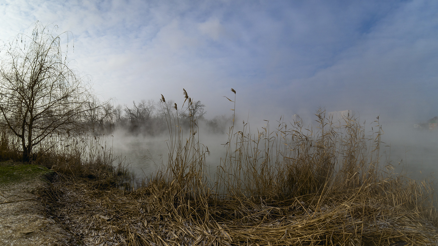 Мороз и камыши