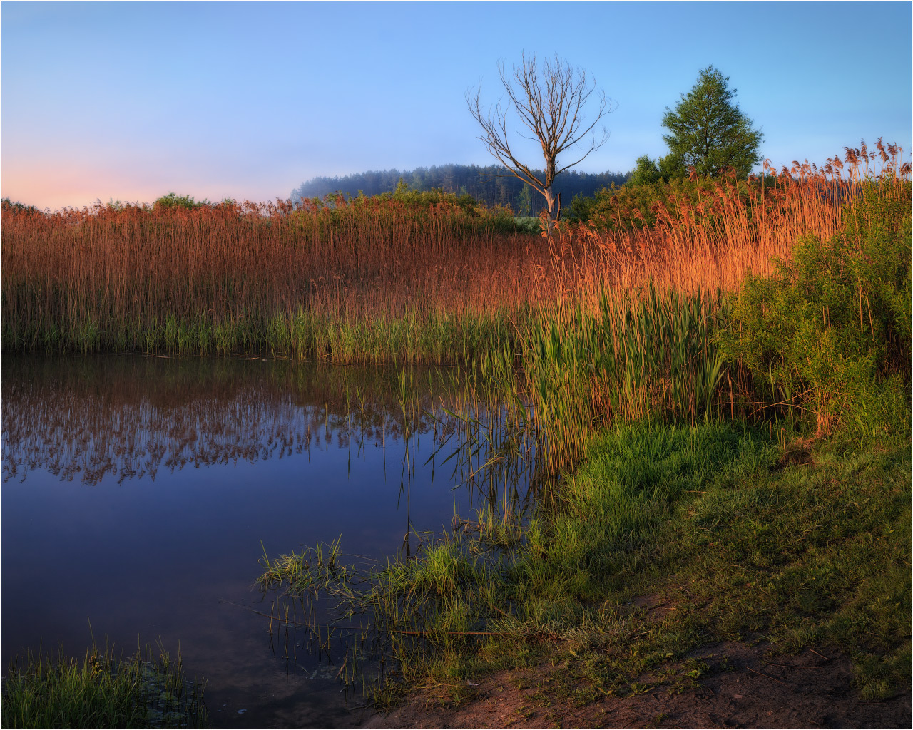 Летним утром или просто летний этюд