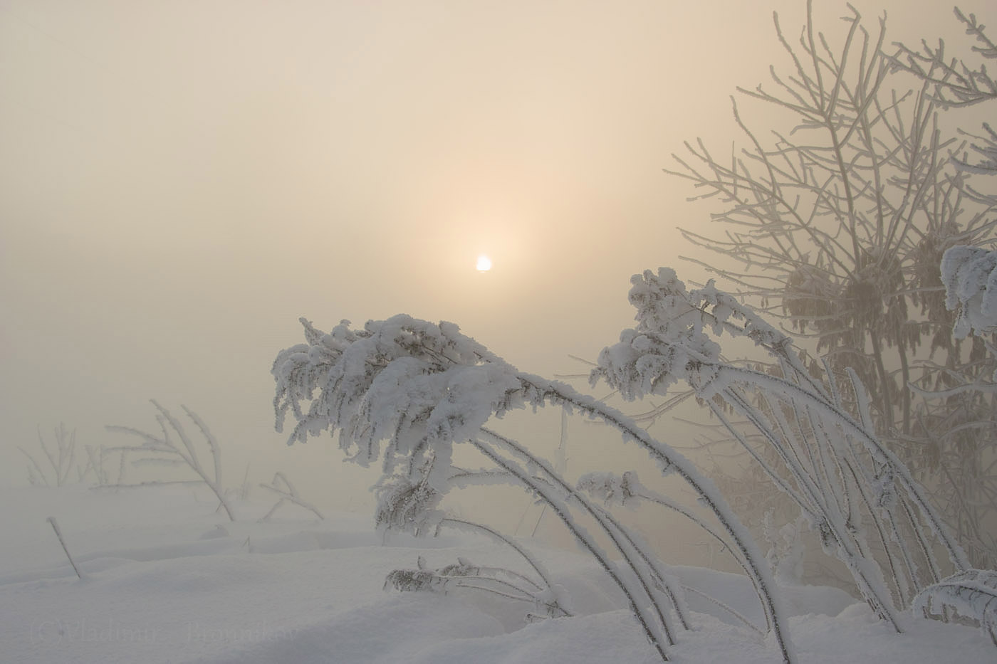 Рассвет,туман,иней..