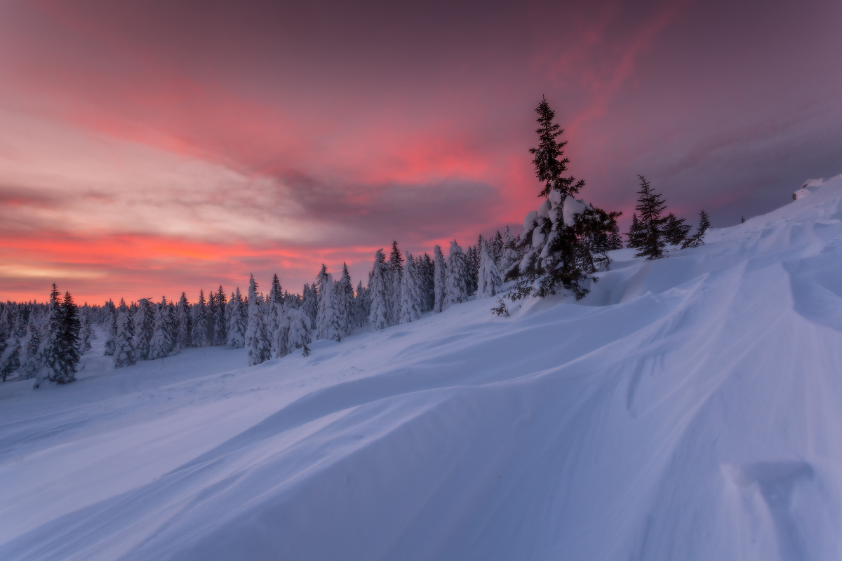 Рассвет на семи ветрах