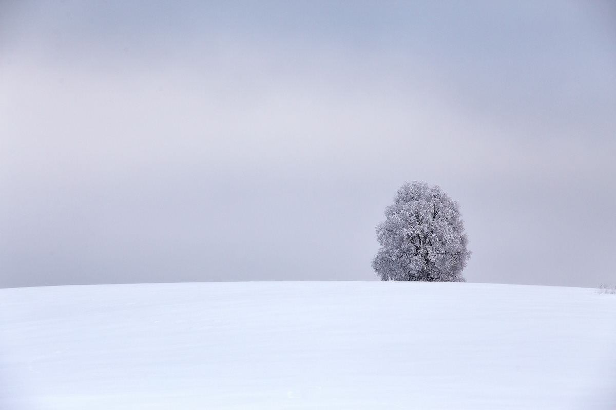 Зимняя лаконичная