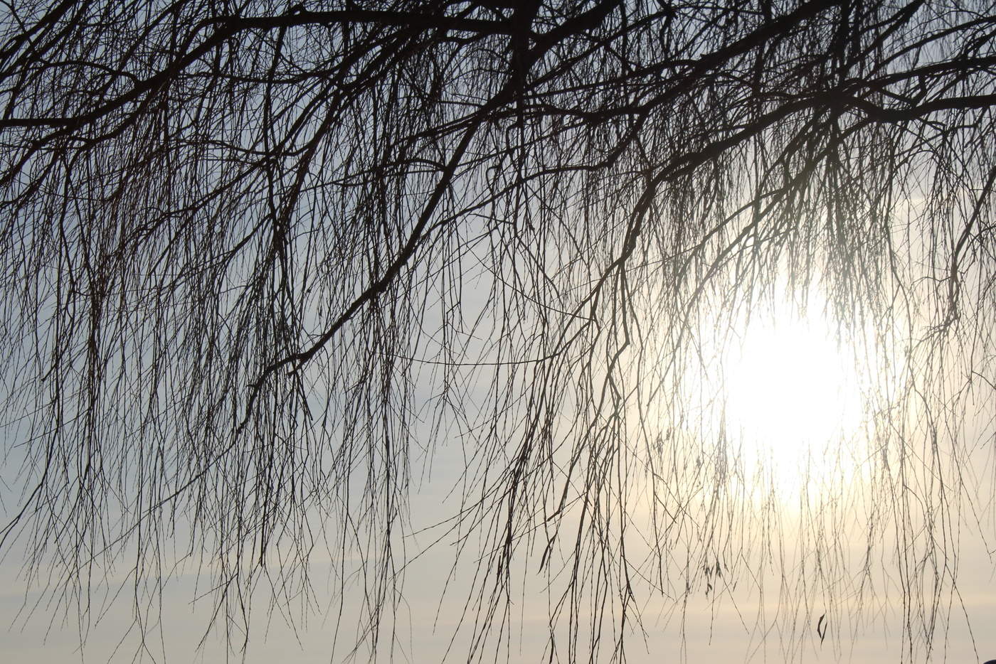 *Зимнее солнце**