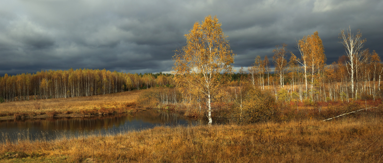 Урочище Мочалище
