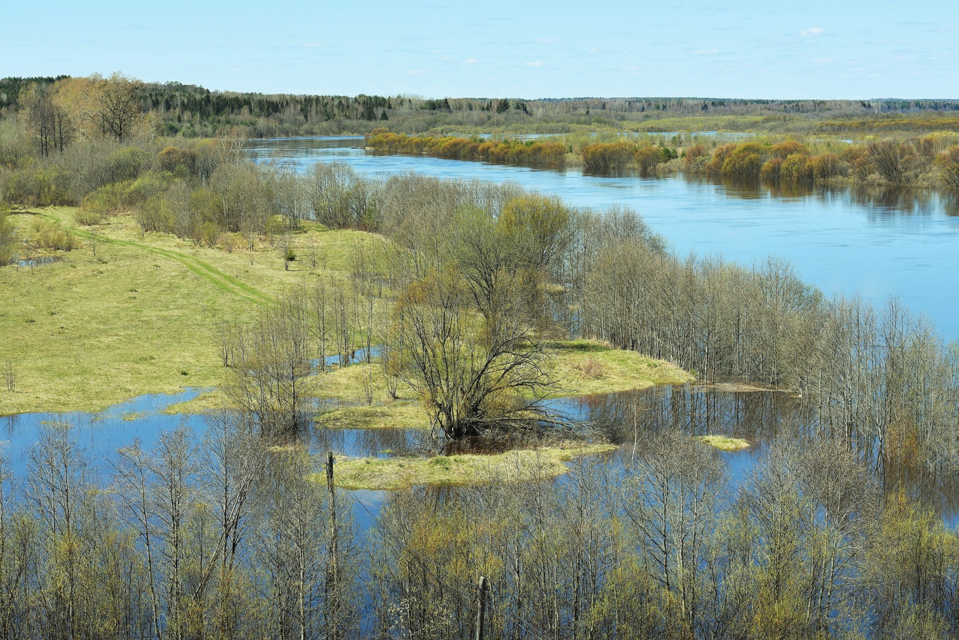 "А воздух уж весною дышит ..."