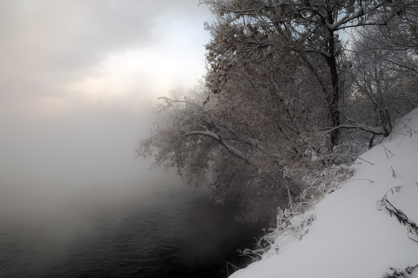 Зима, мороз,туман,иней....