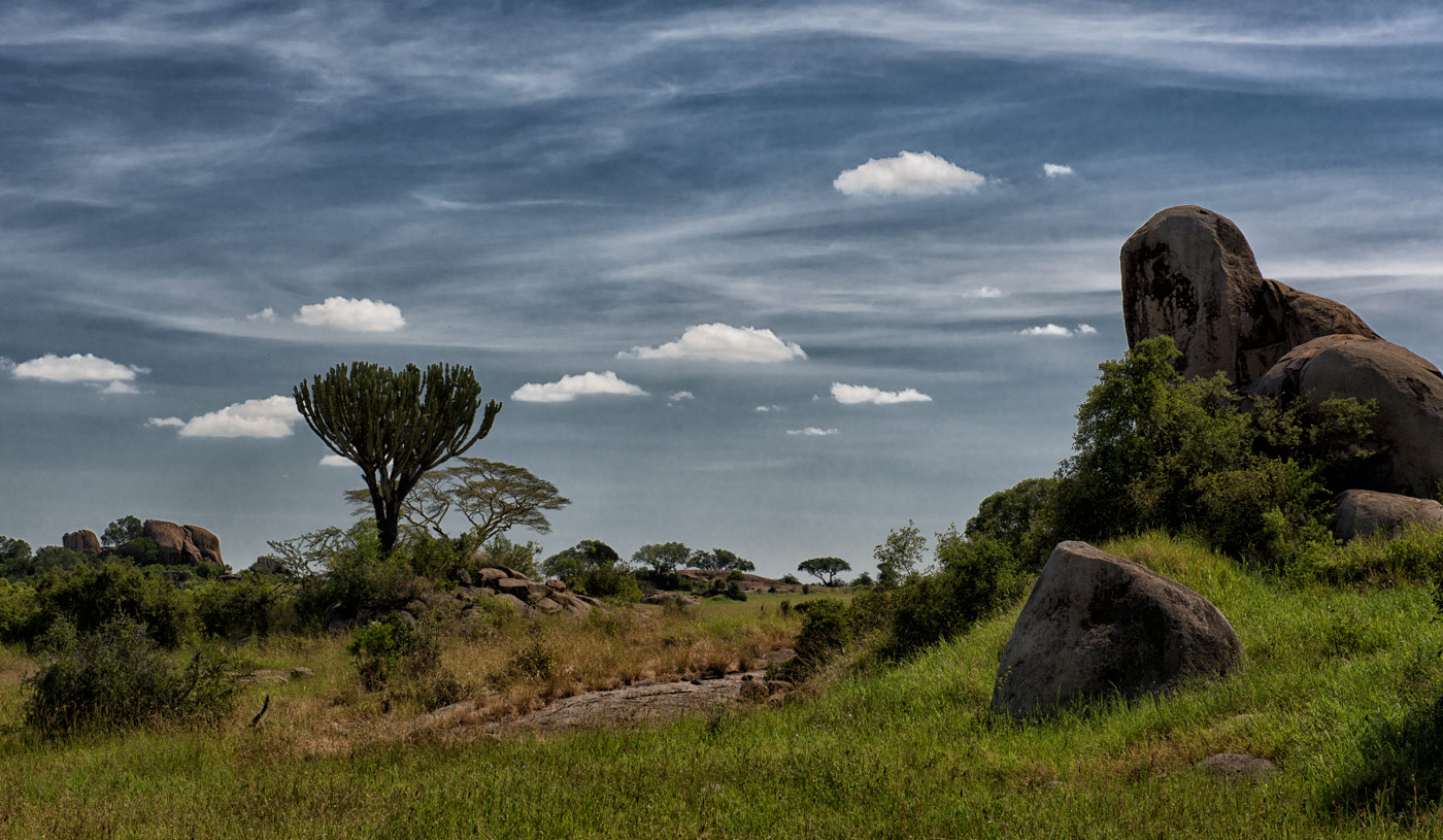 Памятники саванны