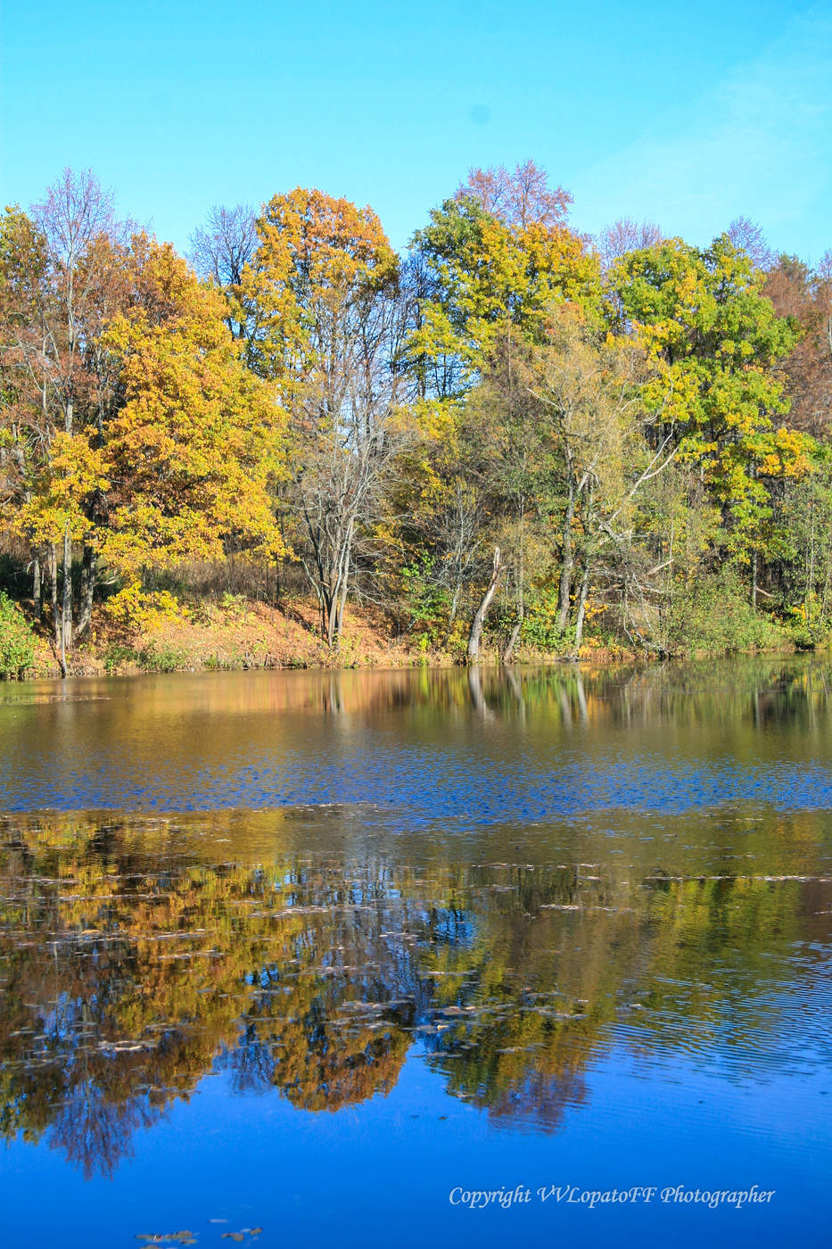 Золотая осень