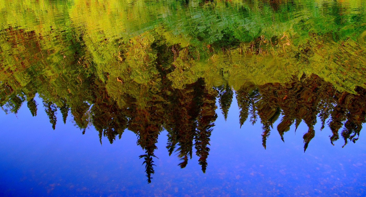 Лето пьяное, окаянное