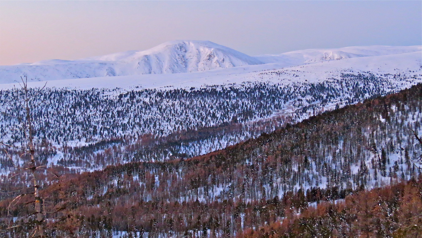 Заря занимается