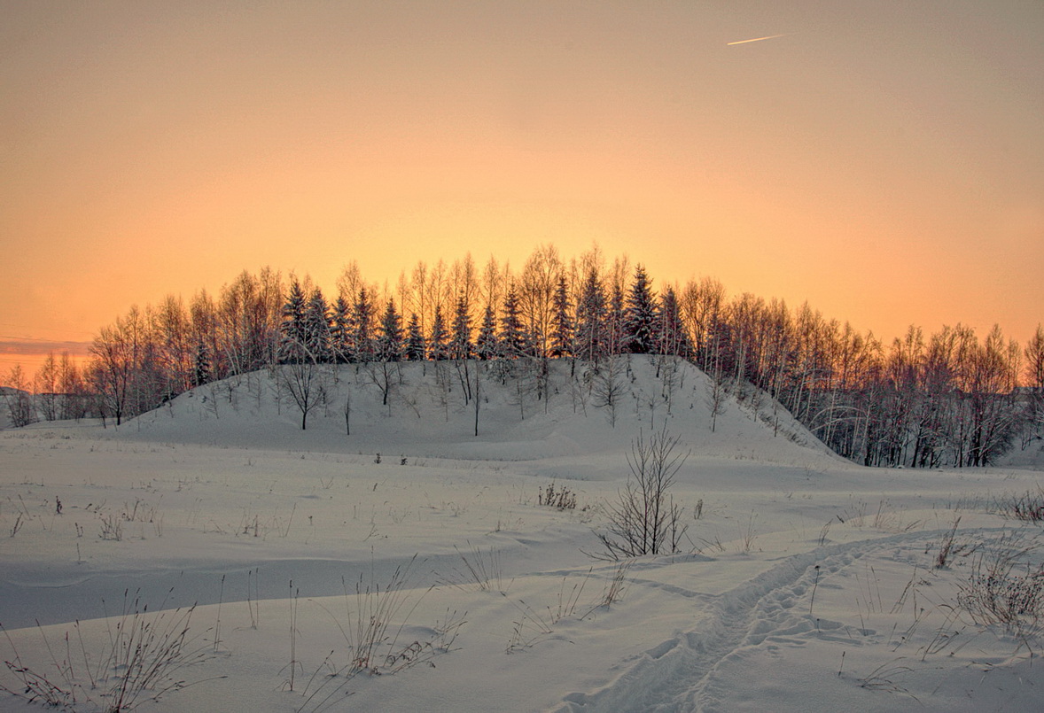 Елочки на горочке