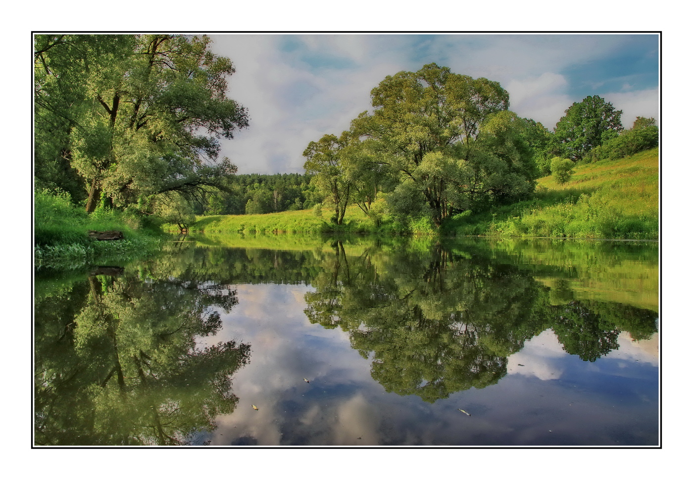 речной пейзаж