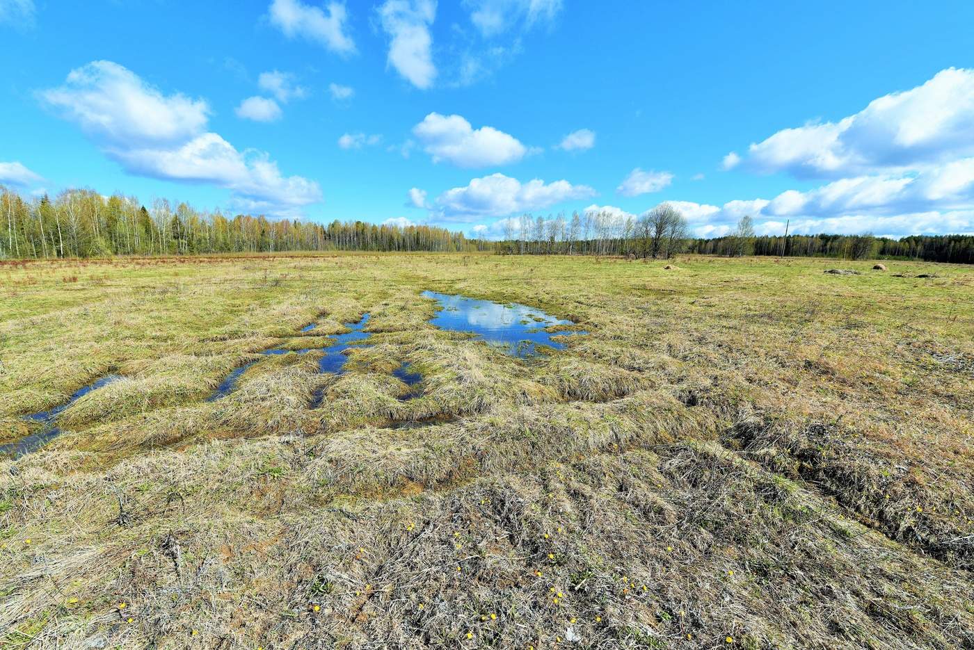 Весна. Еще не паханое поле ...