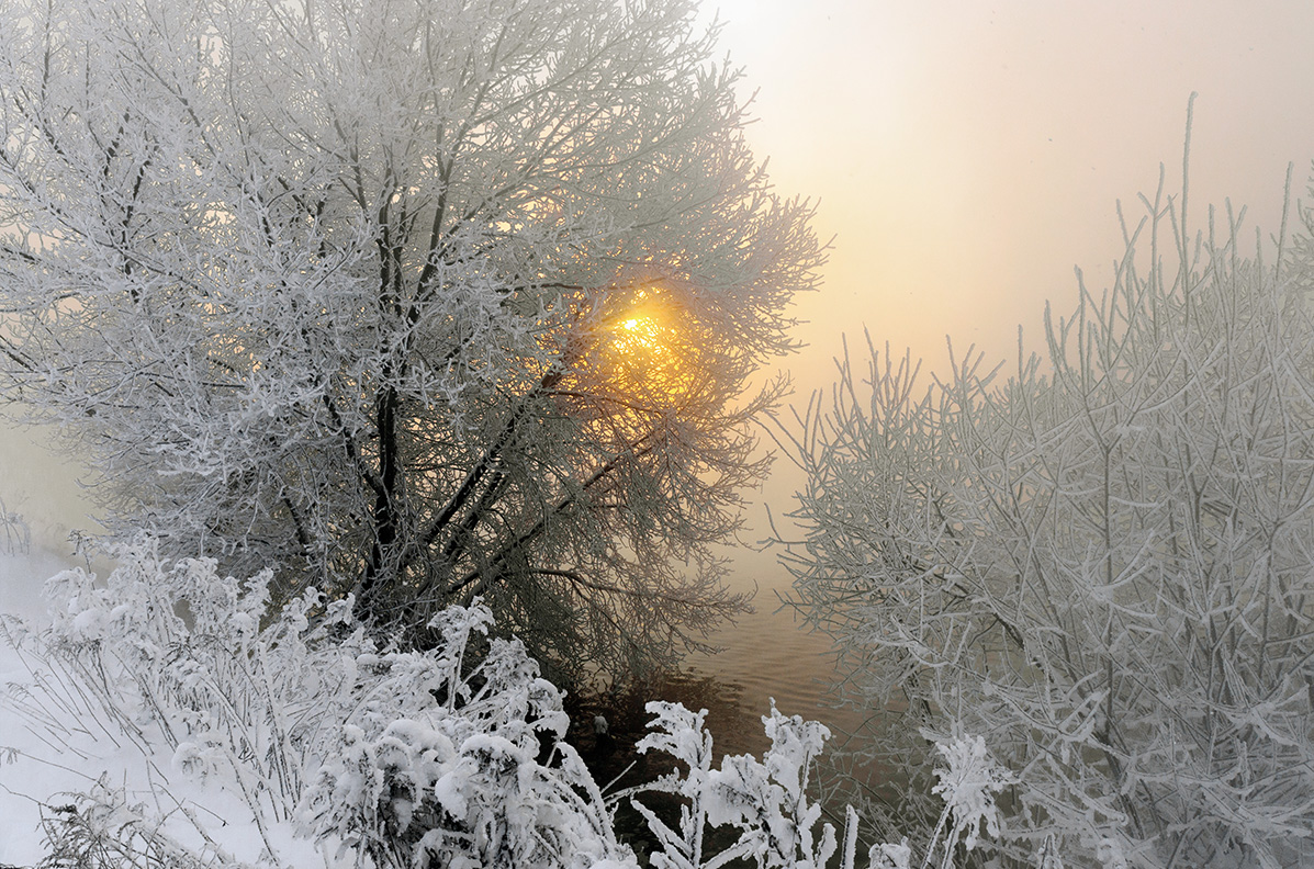 Морозное утро.