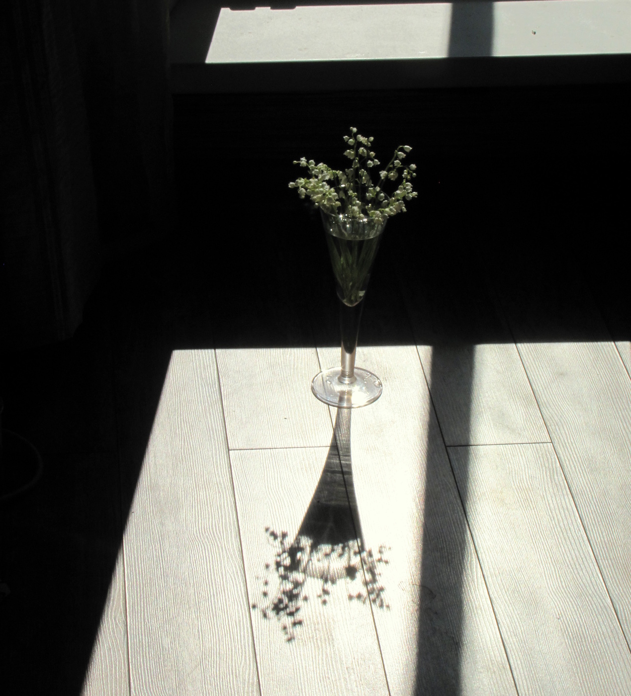 Танец света и теней