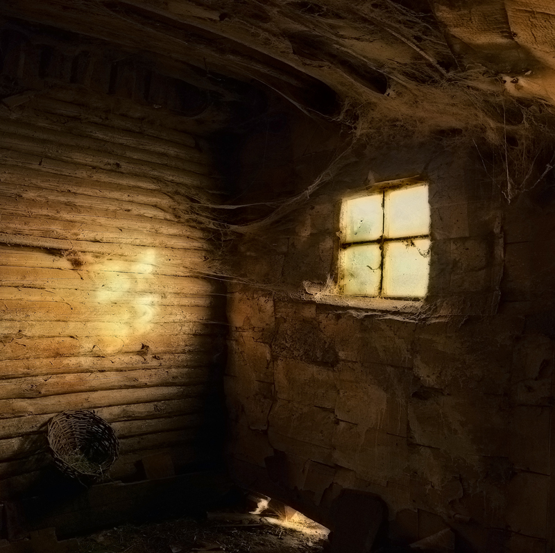 Танец света и теней