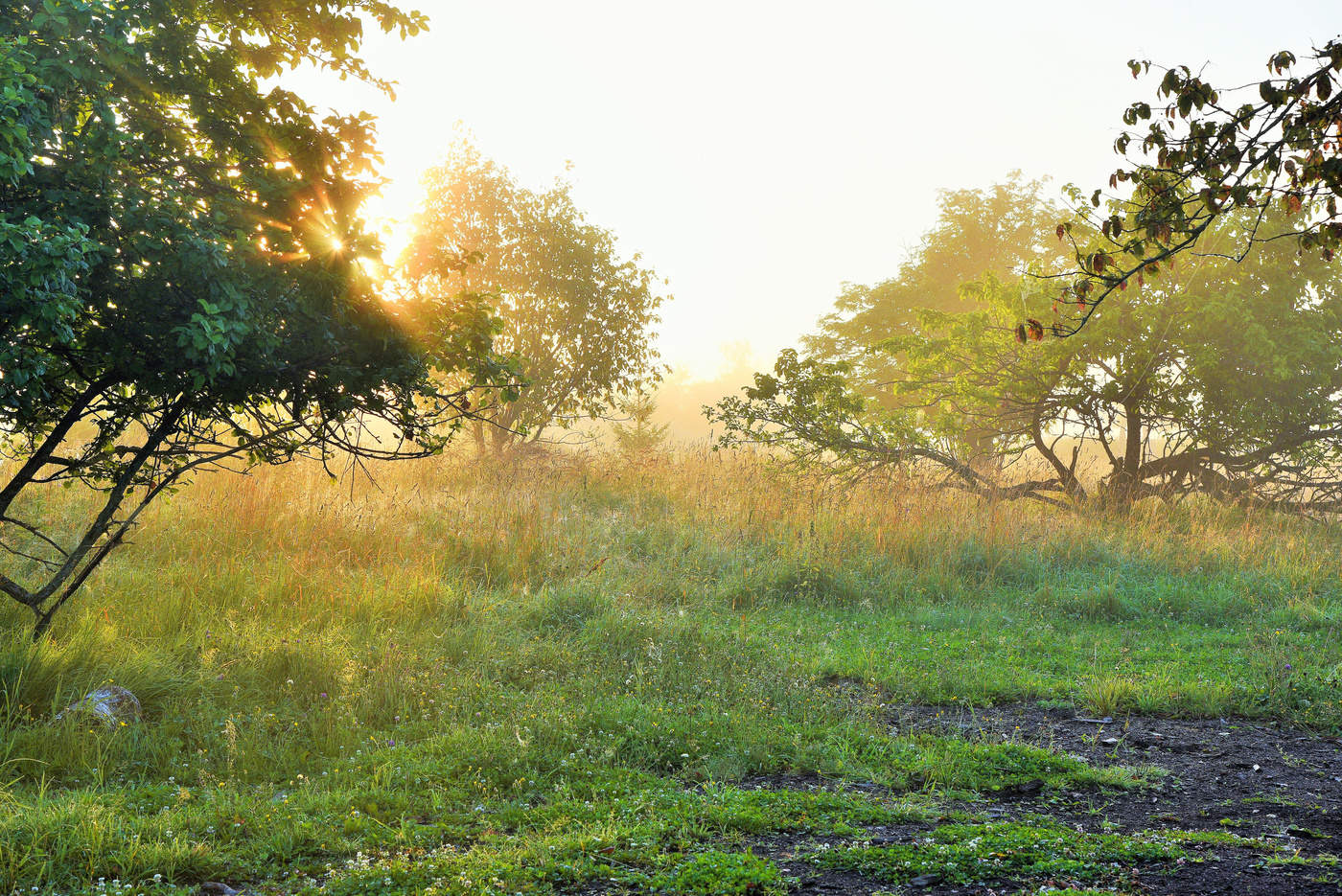 "Боже мой! вчера - ненастье ..."