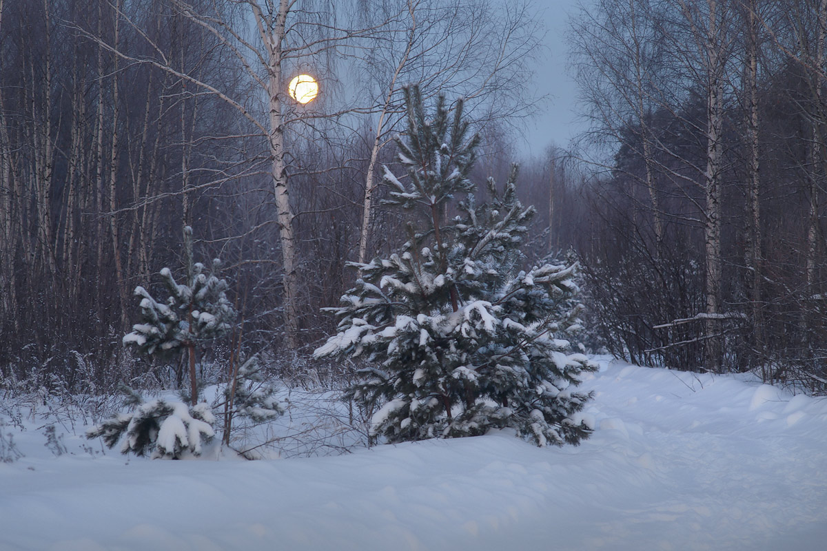 На исходе ночи