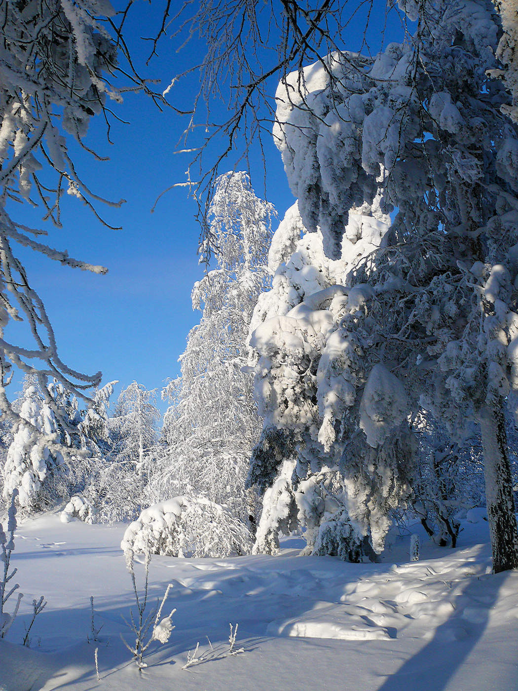 Зимние наряды