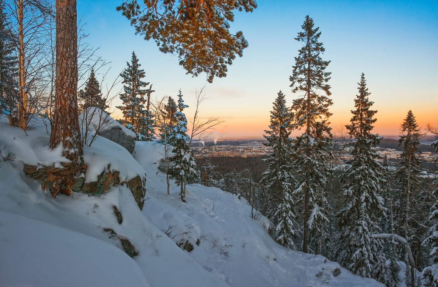 Деревья на скалах