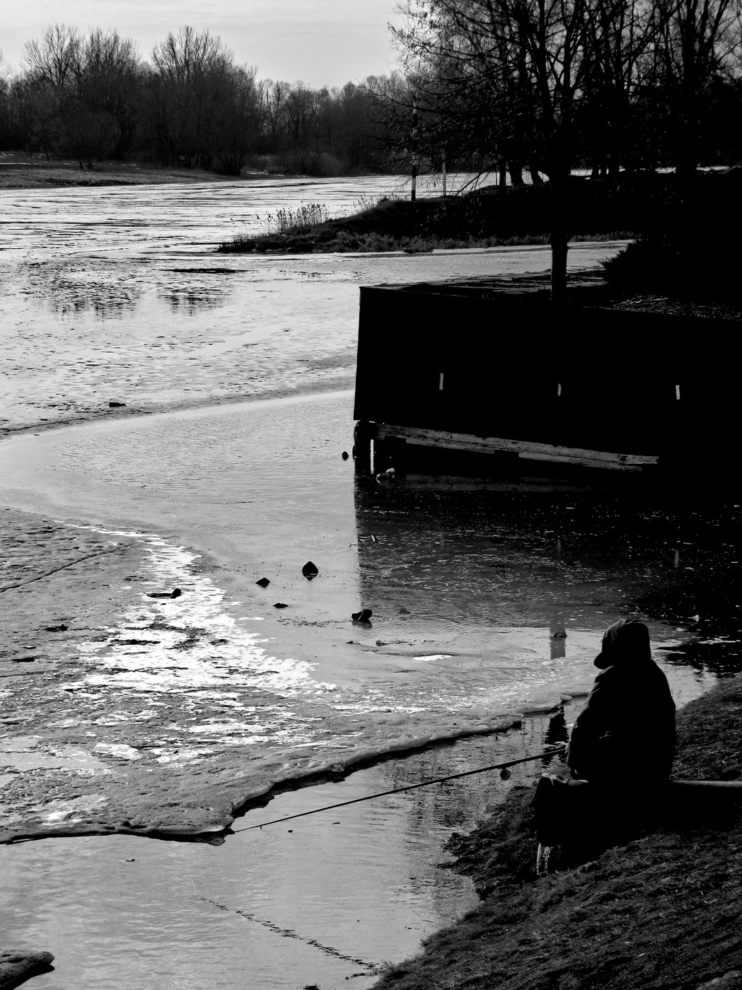 клюет не клюет