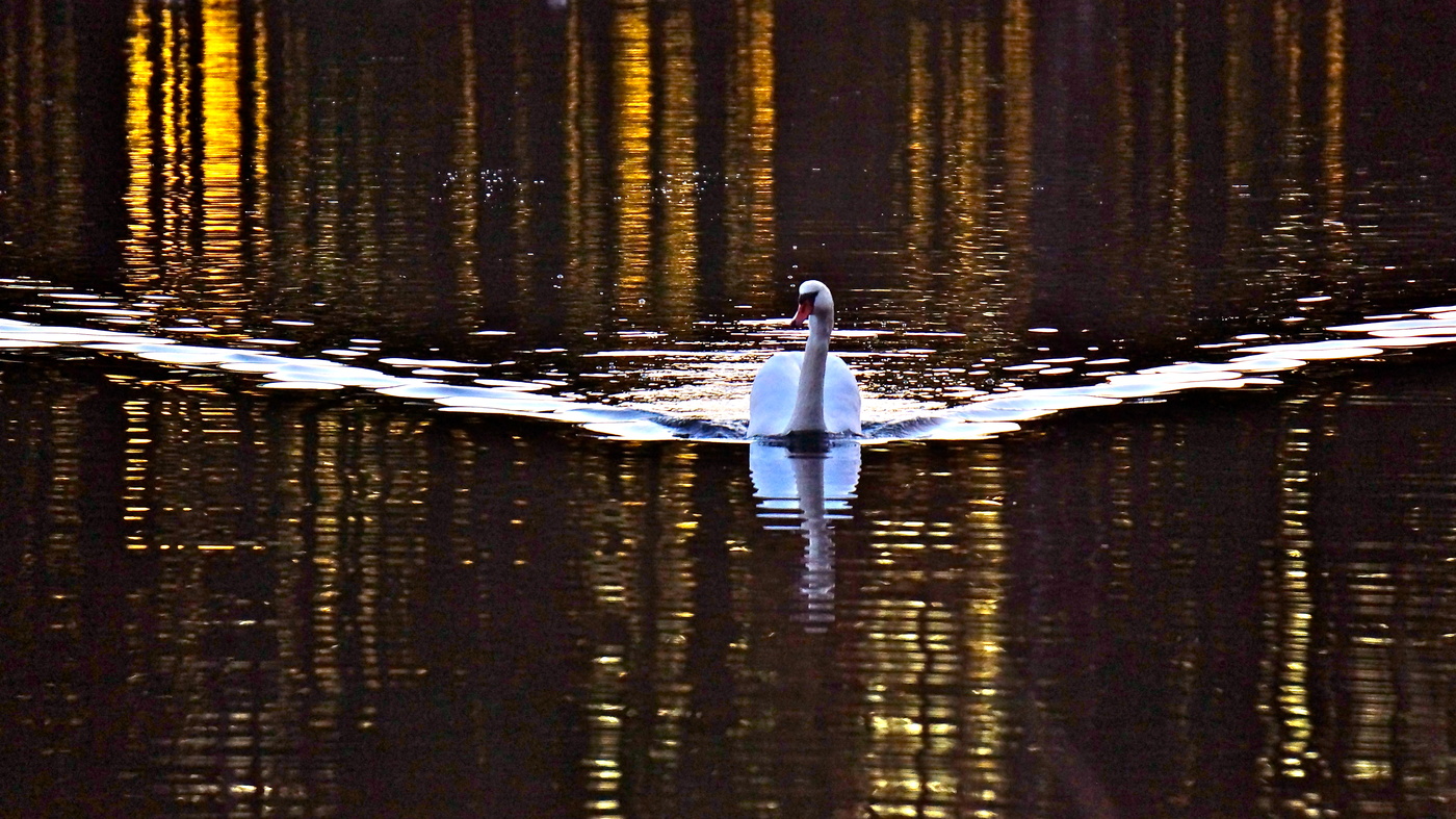 На зов подруги...