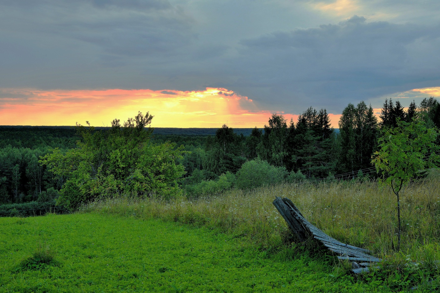 "На бору со звонами плачут глухари"...
