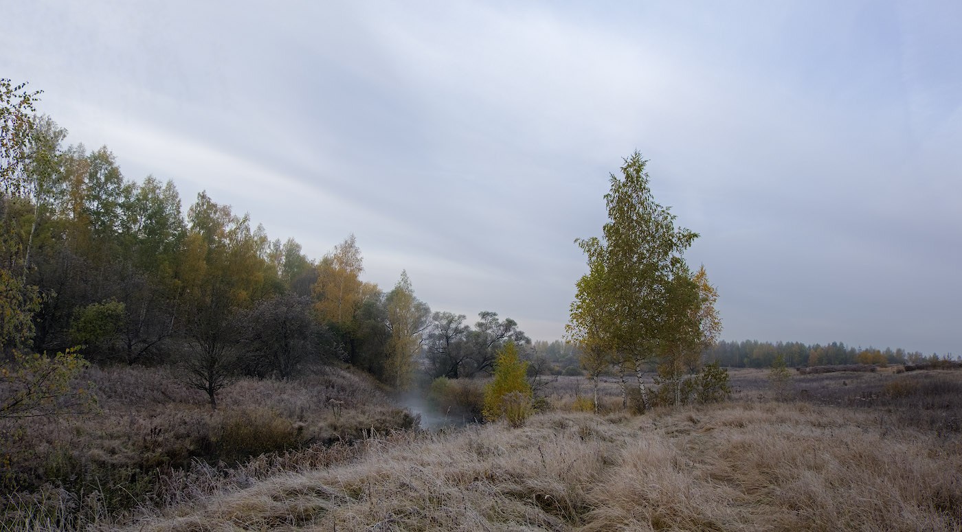 Рассвет,туман,иней..