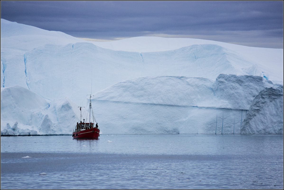 Слон и моська...