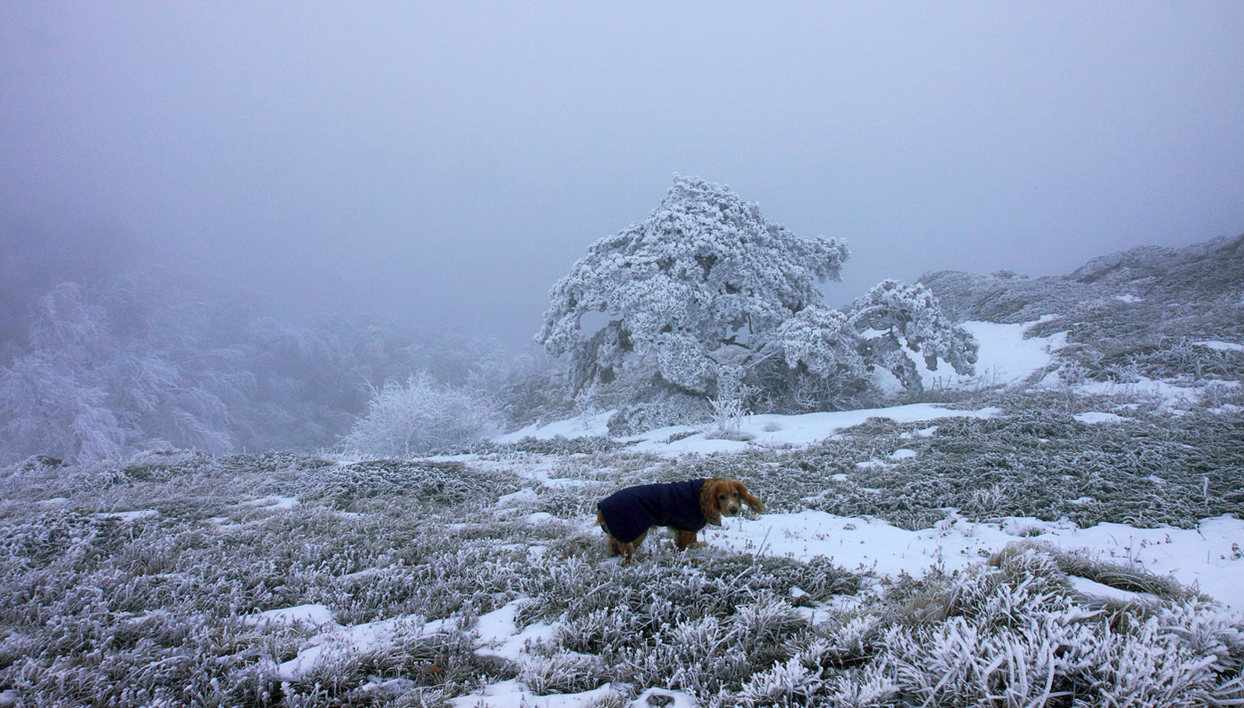 Чатыр-Дагские туманности