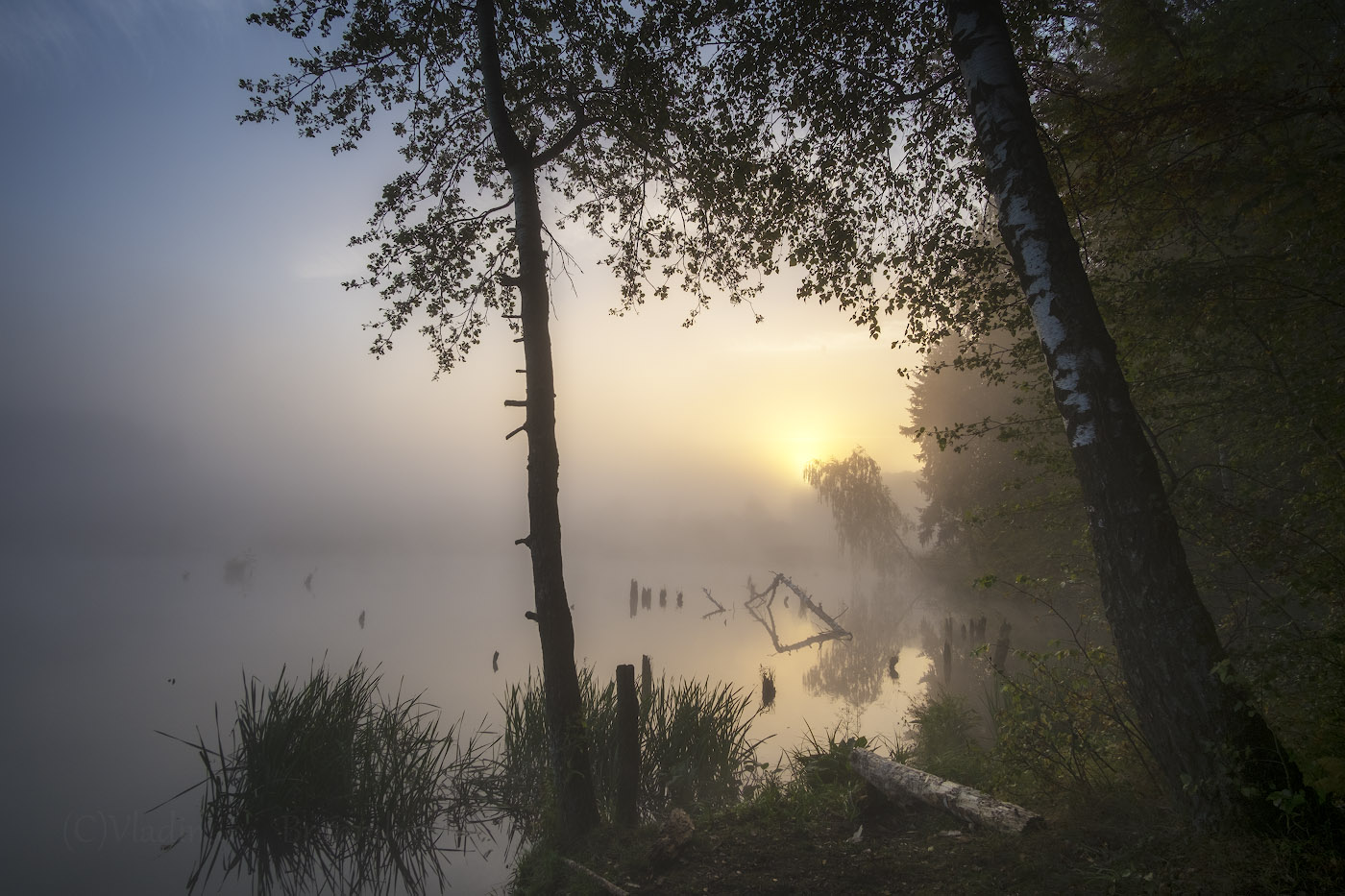 Рассвет,туман