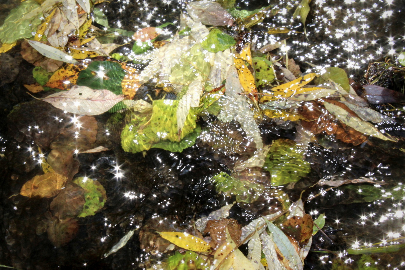 *Водоворот**