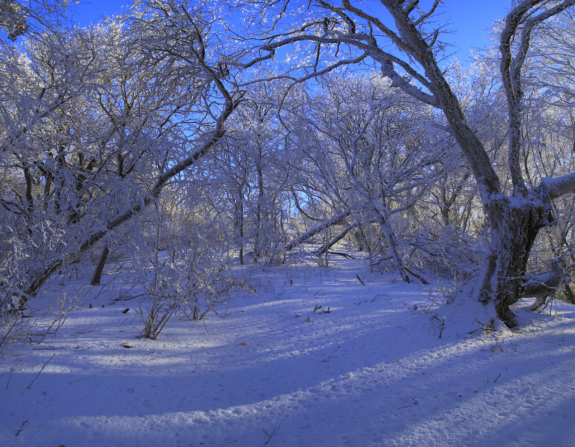 Крымская снежность