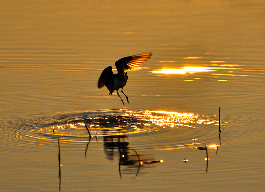 Он обещал вернуться
