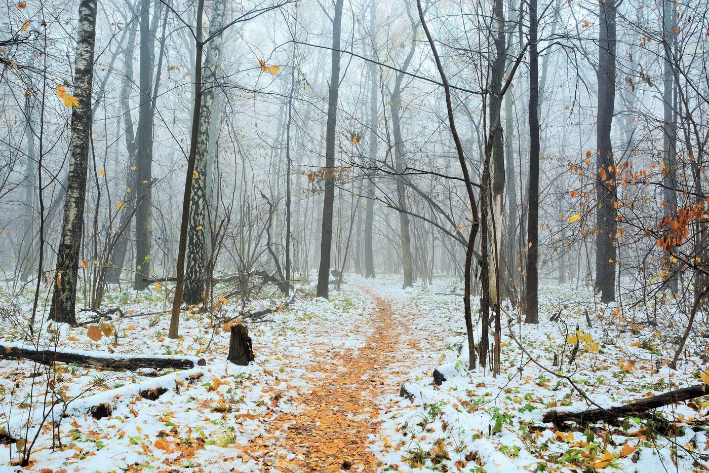 "Я по первому снегу бреду..."