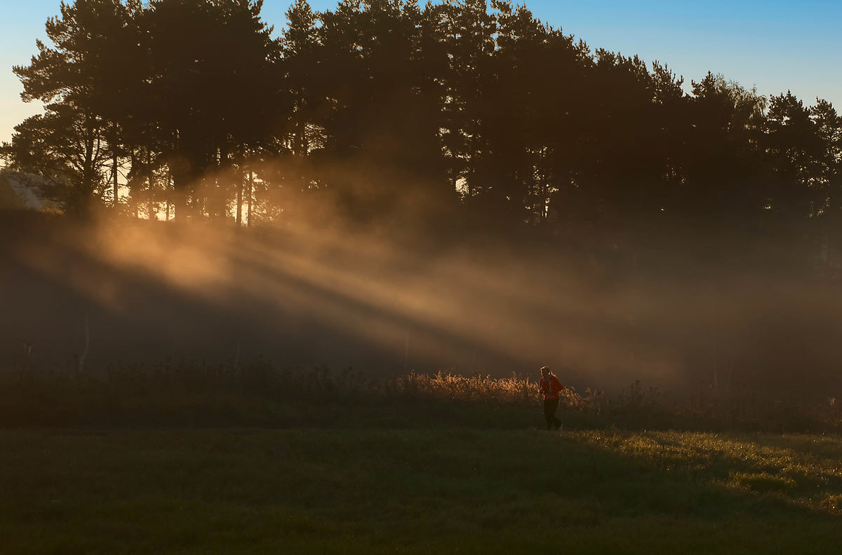 Утренняя пробежка