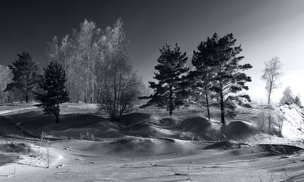 В свете дня.