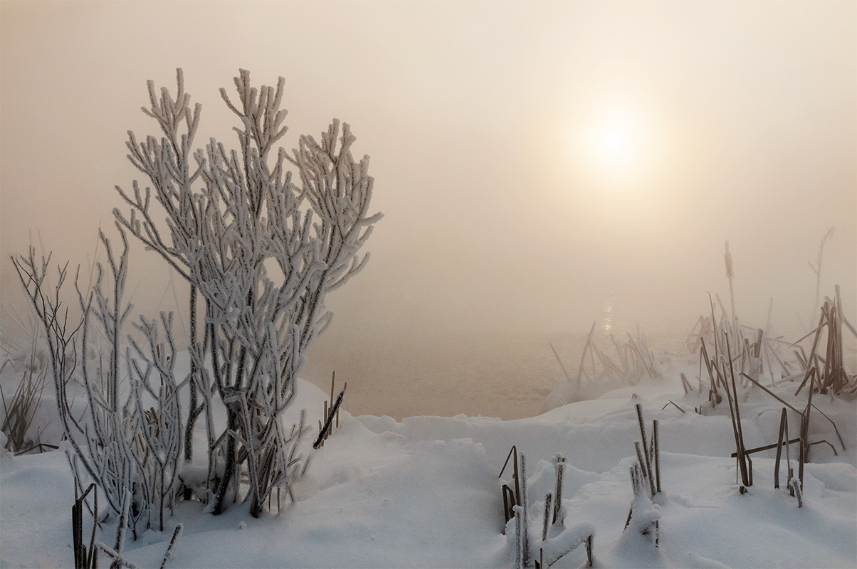 Январским утром.