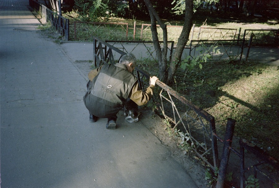 Кормление котика