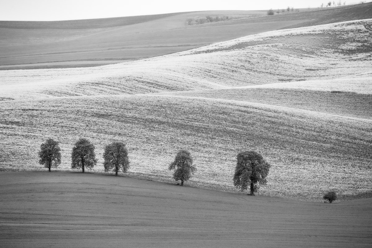 Моравия в ЧБ
