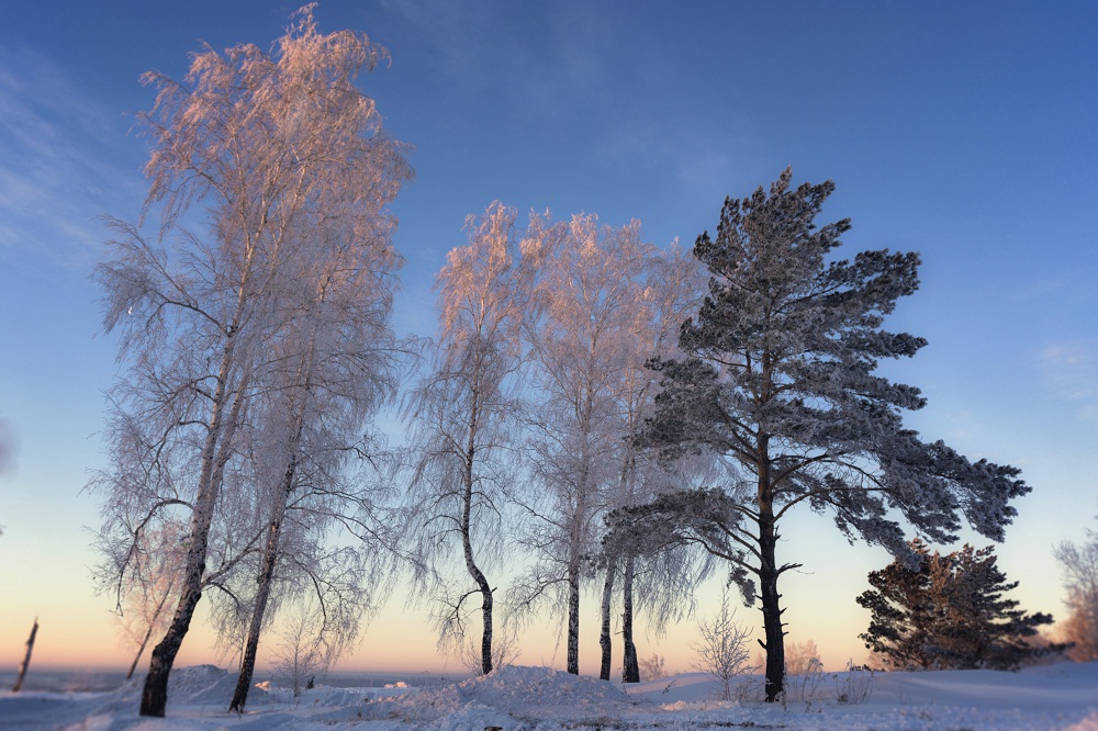 Зимний свет.