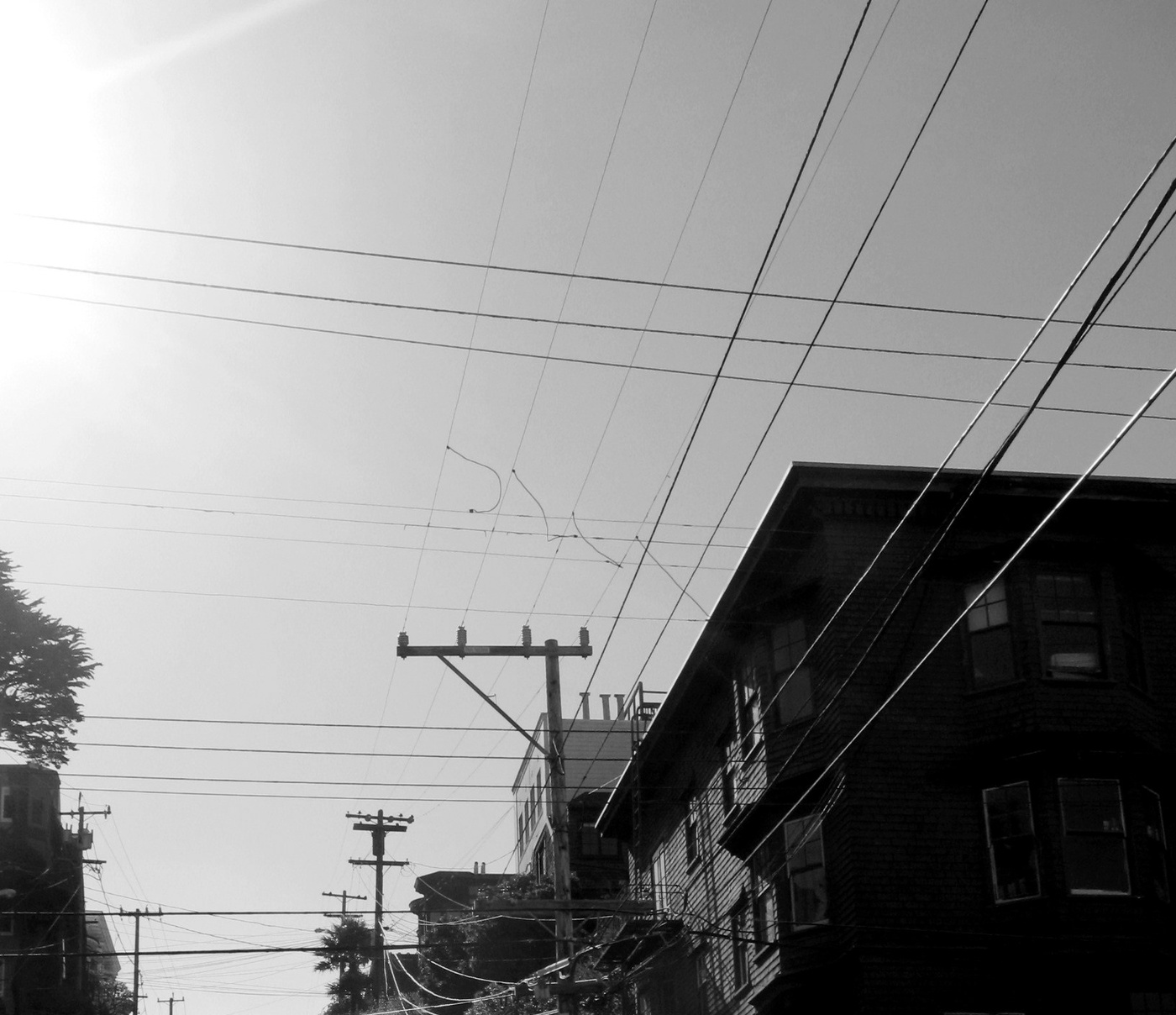 Тонкая линия, тонкая грань