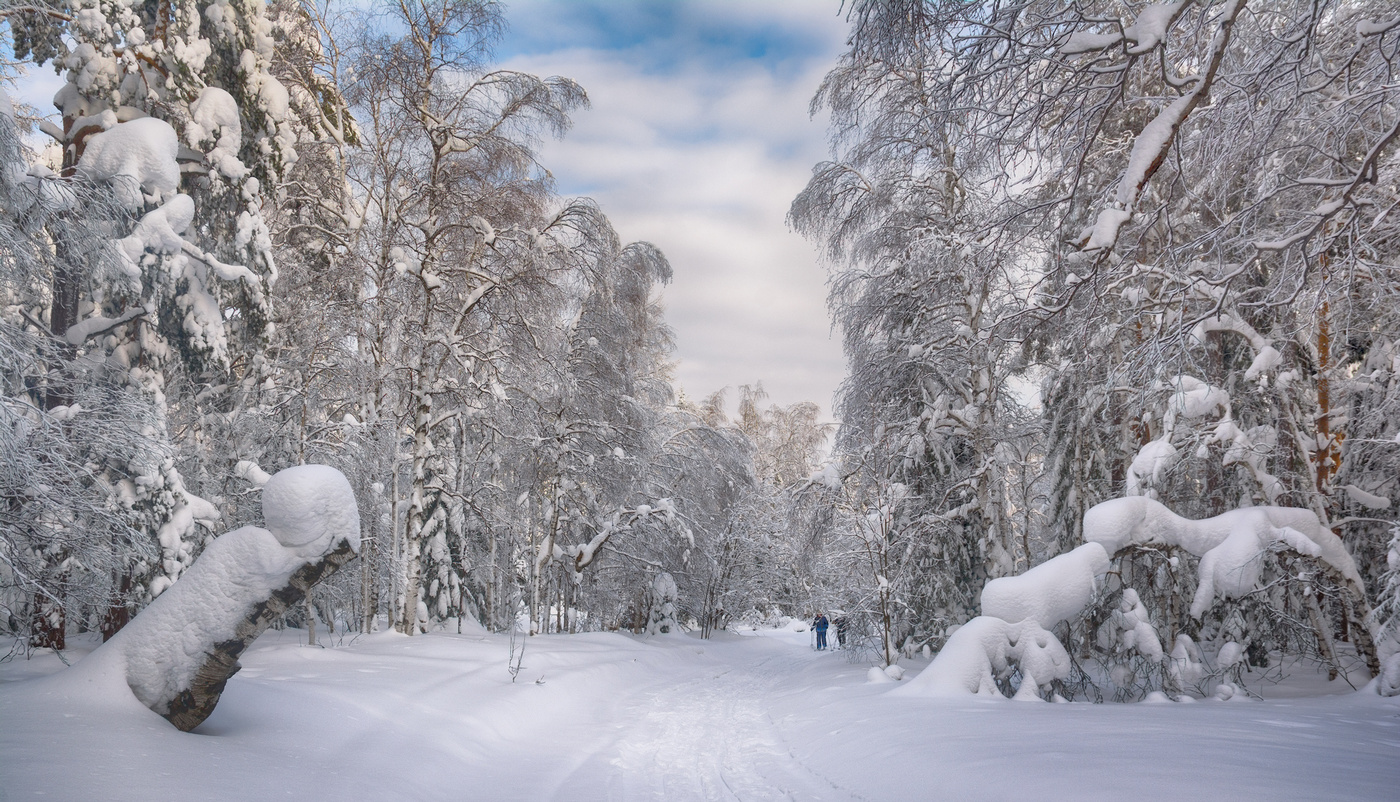 Зимний день