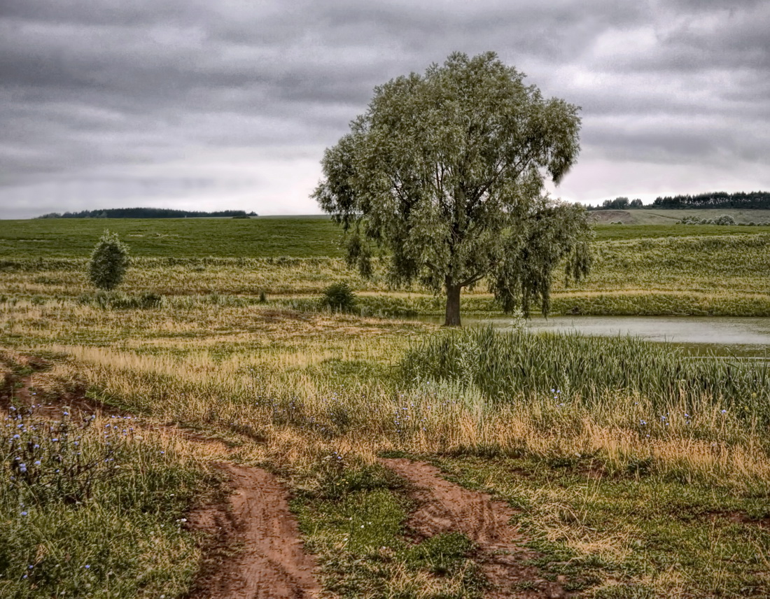 Предвкушение