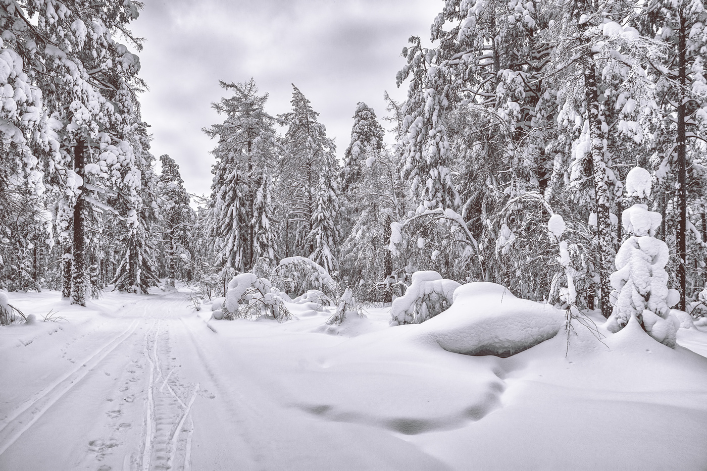 Пасмурный день