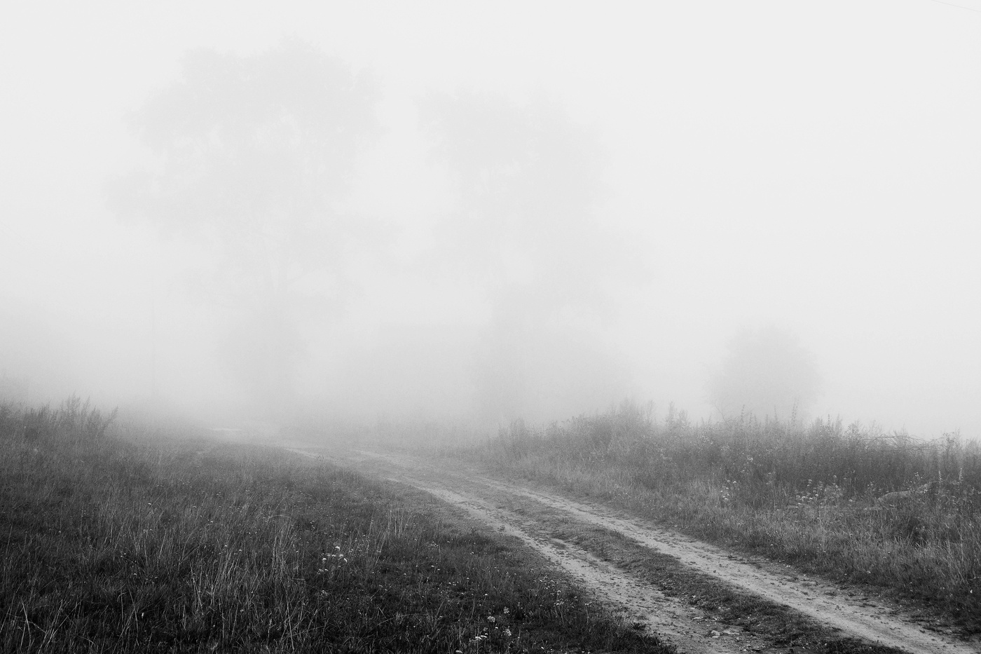 "Петухи недавно в третий раз пропели"...